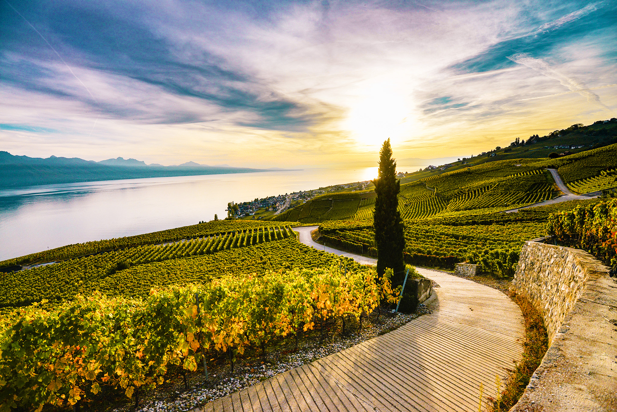 kt_2020_300_Keytours_excursions_Swisstours_lavaux3_2048_10