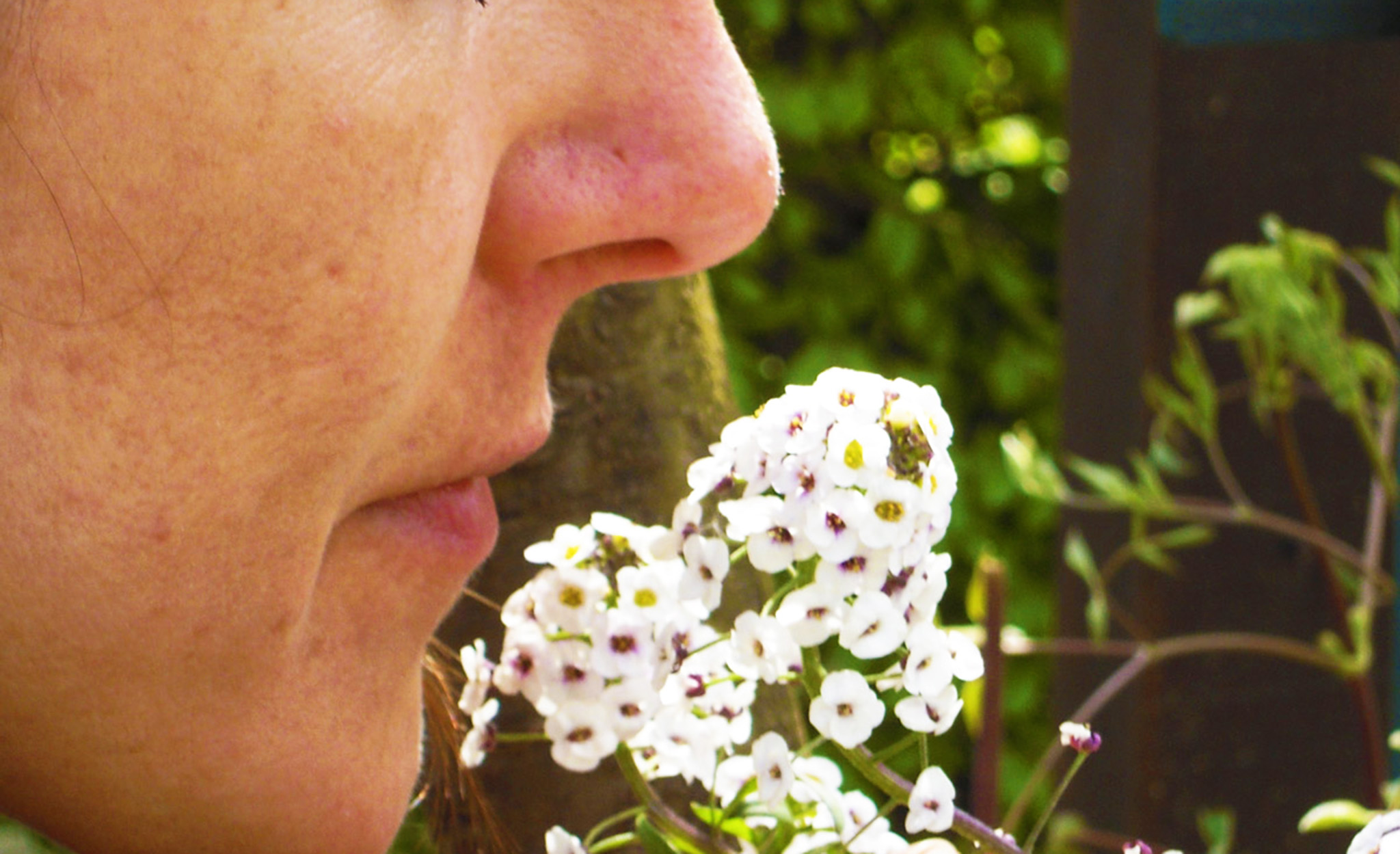 kt_2020_380_Keytours_excursions_Swisstours_yvoire_jardin_des_cinq_sens3_2048_10