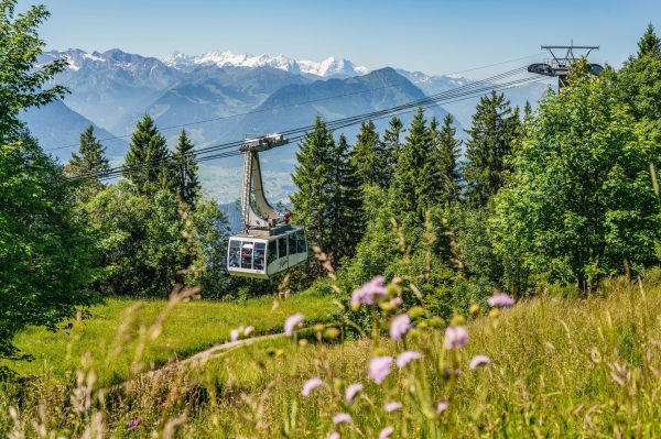 Bitte einsteigen in die Luftseilbahn Weggis-Rigi Kaltbad