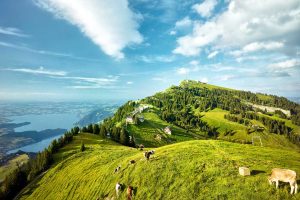 Day tour from Zurich to mountain Rigi with Keytours